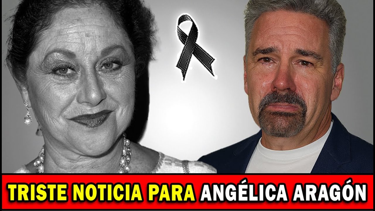 YouTube Thumbnail Downloader FULL HQ IMAGE