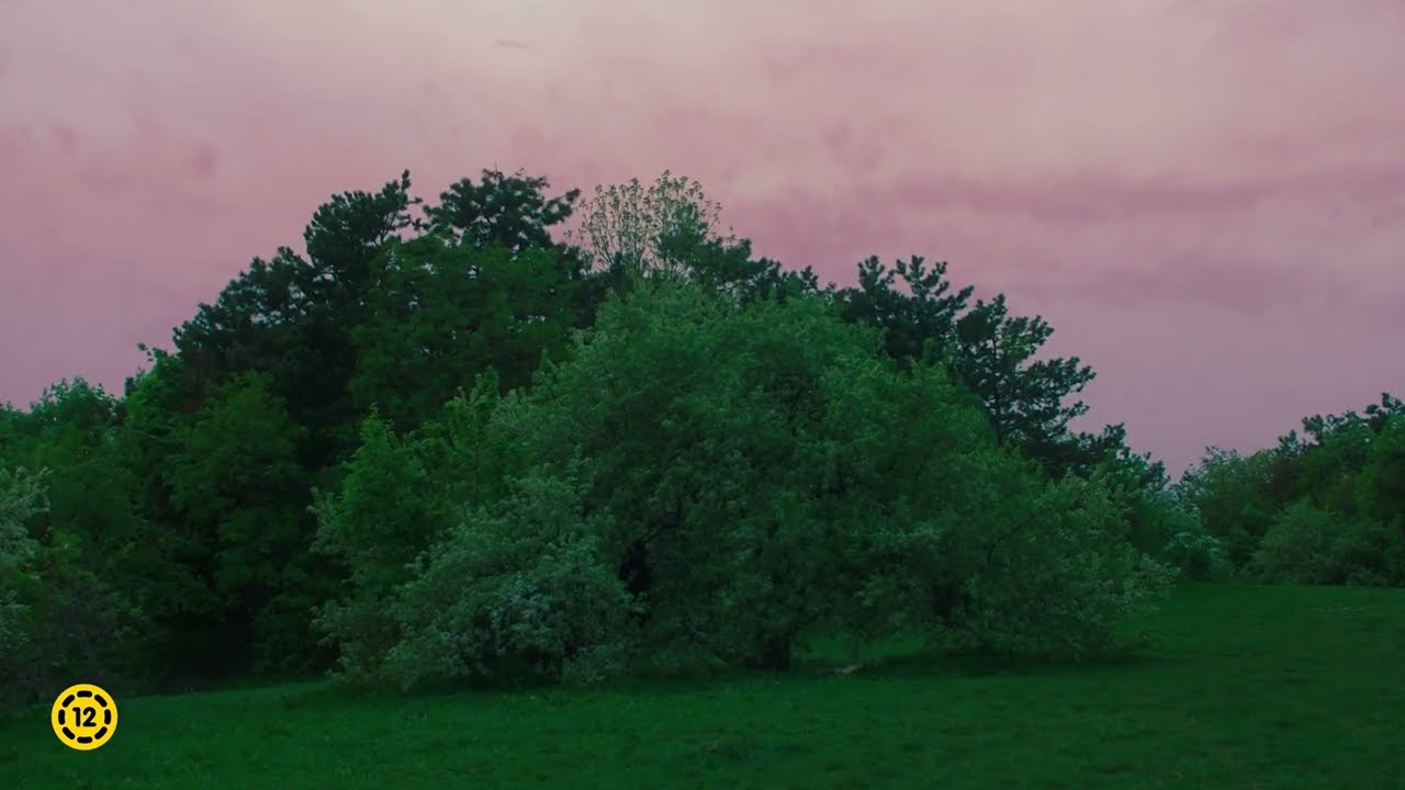 Hivatalos rövid előzetes