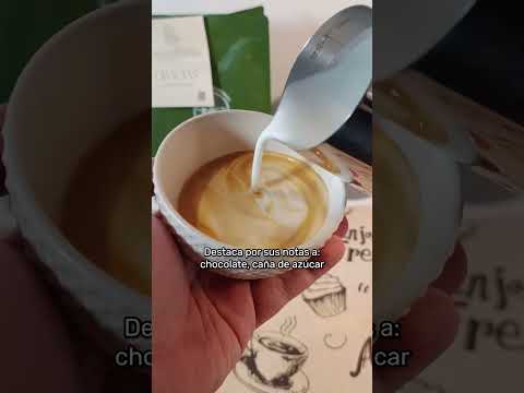 Café CASTILLO cultivado en Ituango, Antioquia | Eloisa Café