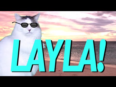 HAPPY BIRTHDAY LAYLA! - EPIC CAT Happy Birthday Song