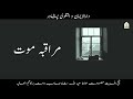 Muraqiba Moot