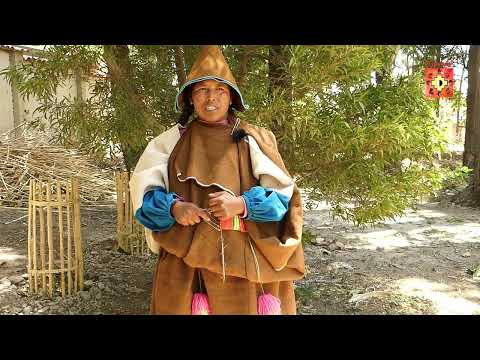 GENERO Y CAMBIO CLIMATICO - VIRGINIA - AYPARAVI