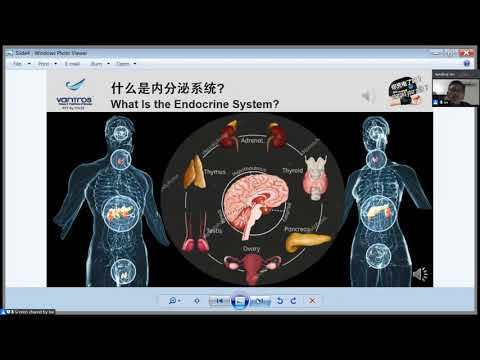 内分泌失调，最易引发的六种疾病。(mand)6 common diseases affected by Endocrine disorders  Mr TH Lee 18 sept 2020