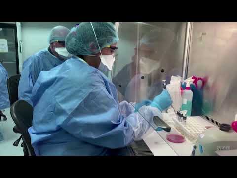 南非將給衛生工作者注射J&J疫苗 (South Africa to give J&J vaccine to health workers)