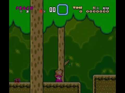 Mario is Missing: Alone in the forest (CLEAN)