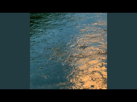 Money Over Everything