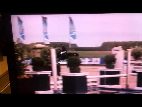 7 years old gelding by contendro first time 1.35m class