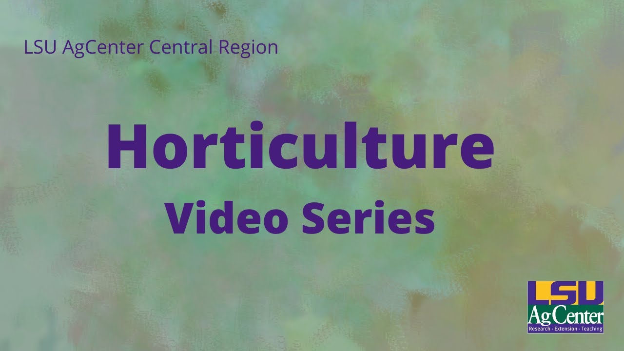 Hazard Tree Identification