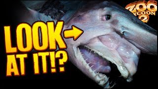 Zoo Tycoon 2: The Aquarium | GOBLIN SHARK TANK (Aquarium Part 5)