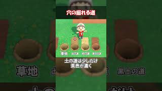 穴の掘れる道を知りたい！ 【あつ森】@ほのげ