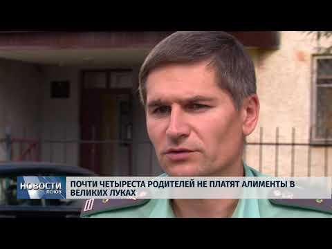 21.08.2019 / Почти четыреста родителей не платят алименты в Великих Луках