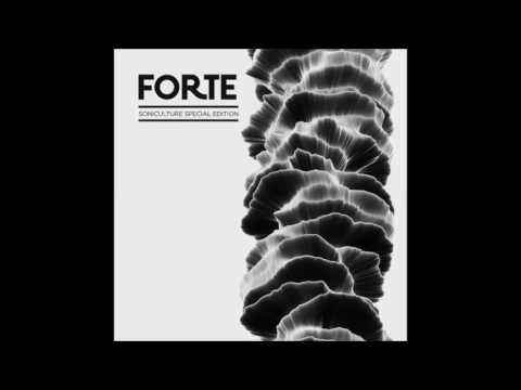 Expander - How Forte Are You [SONICULTUREUNLIMITED026]