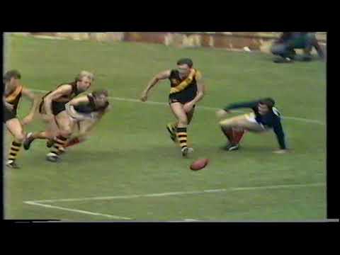 1981 Preliminary Final Glenelg 12.14 86 d Norwood 4.7 31