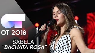 Bachata Rosa Music Video