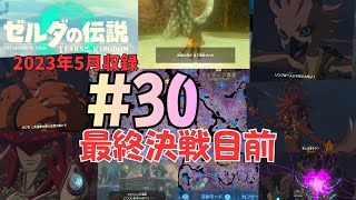 [tk30]ゼルダの伝説ティアーズオブザキングダム実況Part30 決戦へ
