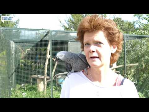 Sjaak en Irma uit Ik Vertrek laten zich niet kapotmaken