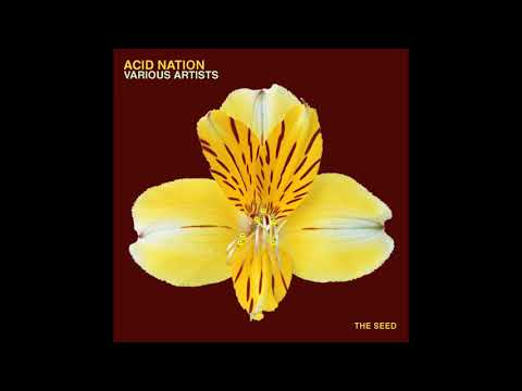 Kluzo - Acid Spin (Original Mix)