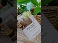 Better Homes & Gardens Beige & Black Resin Rattan Oval Caddy Walmart