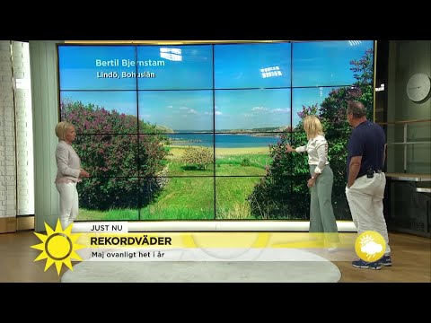 Rekordvärmen – här är tittarnas bästa vårbilder - Nyhetsmorgon (TV4)
