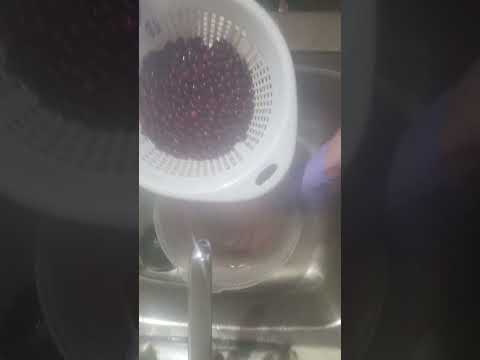 How to separate the good partridge berries from the bad