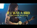 If I Was A Bird