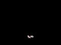 Haskar Jo Dekha ️ ️ Instagram Story Status Love Romantic Status Whatsapp Status Lyrics Black Scr