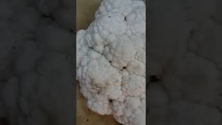 Download lagu Chef naim style👨‍🍳👨‍🍳 COUOLIFLO#trending #cookingwithchefnaim mp3