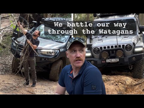 Thumbnail for We battle our way through the Watagan State Forest with JL Wrangler Rubicon and N80 Hilux SR5 by Toyota, Jeep