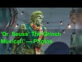Dr Seuss The Grinch Musical Photos