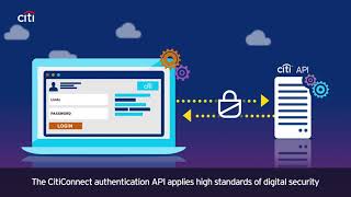 CitiConnect API