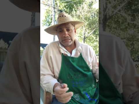 Gardening Blog by certified straw bale garden instructor Tim Anderson 4/5