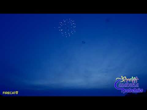 Dominator 3in Giant Willow w Color Tips