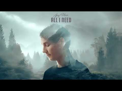 Jay Reeve - All I Need (Official Hardstyle Visualizer)