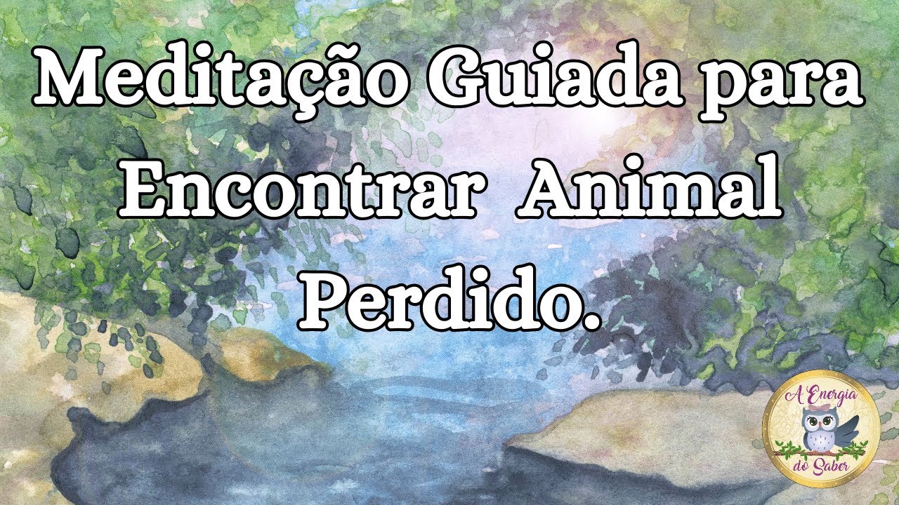 Meditação Guiada para encontrar Animal Perdido.