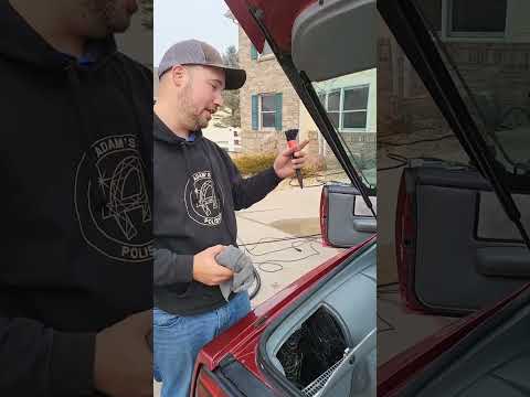 Pontiac Firebird - Detailing and Paint Correction