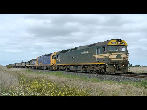 9155 Broad Gauge Pacific National Grain Train (8/10/2023) - PoathTV Australian Railways