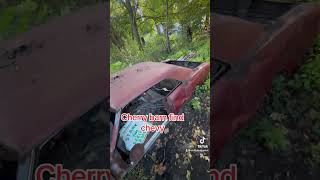 Chevy for sale ran when parked lol #nature #automobile #trump2024 #che