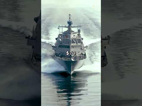 WHAT went wrong with the LCS?