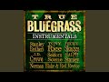 Florida Blues