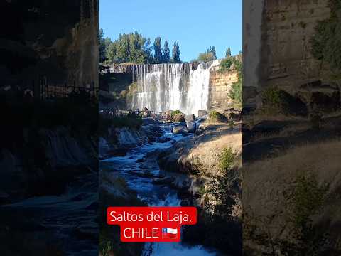 🟢🇨🇱 Saltos del Laja, Bio Bio, CHILE ‼️ #chile #cascada #waterfall #cascadas