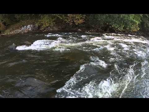 BEST WESTERN PLUS Dillsboro NC