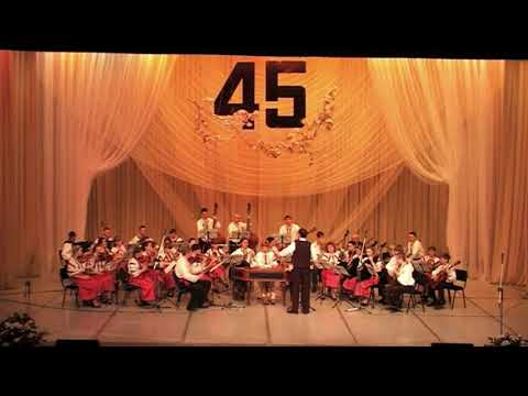 В. Дмитренко  «Карпатські полонини», 2013 рік.