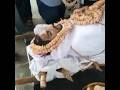 Sushant Singh Rajput Ki Death Body Sad Status Sushantsinghrajput Sadstatus