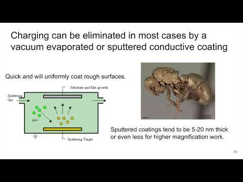 MSE585 F20 Lecture 19 Module 1 - SEM Image Artifacts