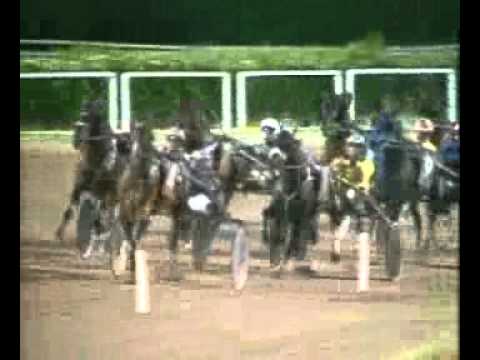 Premio Città di Napoli 2010 -Napoleon Bar