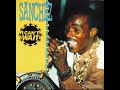SANCHEZ - PRETTY LOOKS 1991