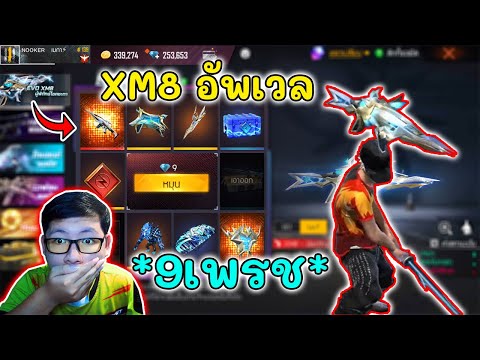 ฟีฟาย