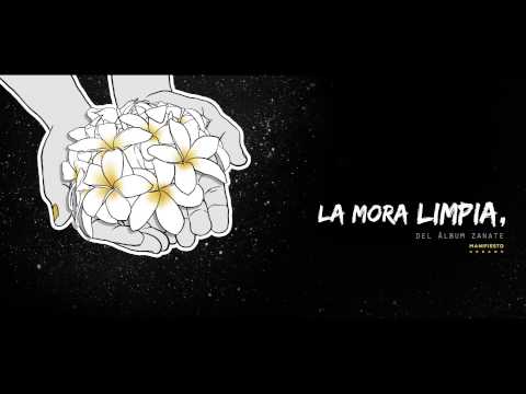 Manifiesto Urbano - La Mora Limpia