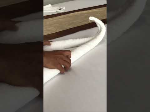 Swan folding #omletarcade