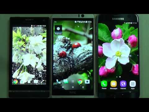 Springtime Live Wallpaper Video